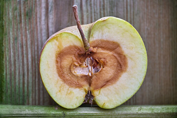 Verfaulter Apfel