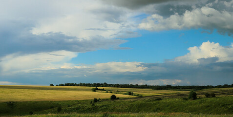 Naklejka na ściany i meble beautiful summer landscape with spacious wheat fields and forests