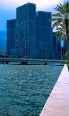 View of buildings in Brickell Miami next to the Brickell Key Drive Bridge,  Buildings  near palms trees and bridge in Brickell, Palm trees, bridge, and buildings next to the Miami South Channel, City