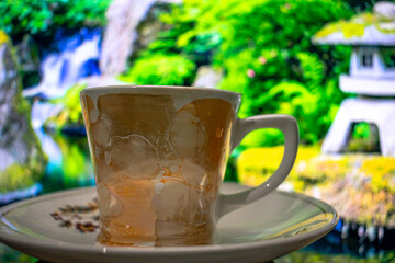 Creative Close-up Photography of A Cup of Hot Tea On Small Textured Wooden Table On Nature Background. Red, black tea in white designed glass mug served on plate in Japan. Herbal Green Tea In Morning.