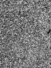 Black and white texture grunge gravel background
