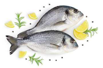 Fish dorado isolated on white background with clipping path and full depth of field. Top view. Flat...