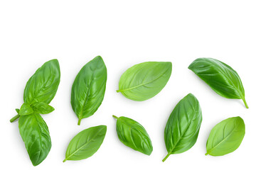 Fresh basil leaf isolated on white background with clipping path and full depth of field. Top view with copy space for your text. Flat lay