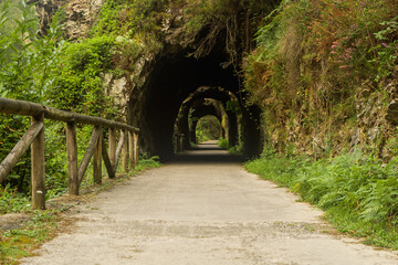 tunnel way in nature asturias spain