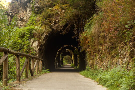 tunnel way in nature asturias spain