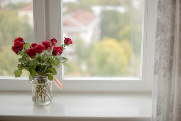 flowers in a window
