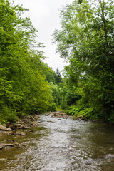 Fototapeta premium Water texture. Mountain river. Waves of green, blue and gray. Calm and tranquility. Nature. A park. Stones on the river bank. Rapid flow of water.