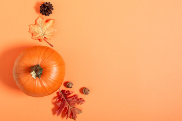 Pumpkin, dried leaves on orange background top view. Autumn composition.