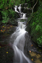 cascade in asturias spain forest