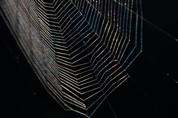The web is woven by a spider. Dark abstract background. Selective focus.