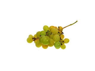 ripe grapes isolated on white background