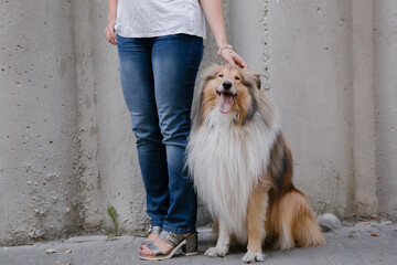 Owner caressing gently her dog