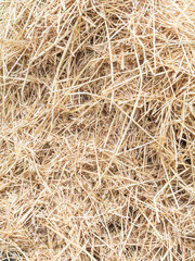 Hay texture. Hay bales are stacked in large stacks. Harvesting in agriculture. Hay background.