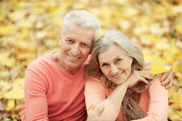 Beautiful senior couple hugging in the park