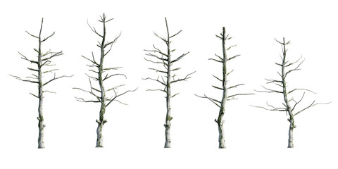 Set of 3D dead trees isolated on white background