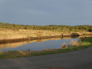 Vue sur un marais