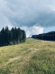 mountain landscape in the summer