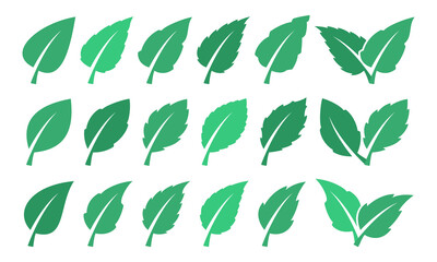 Green leaf set. Eco design