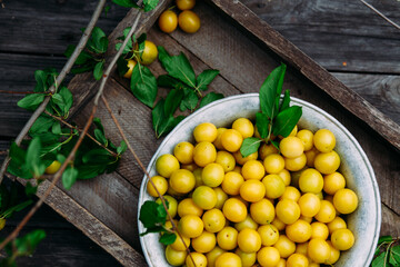 Ripe yellow cherry plum in a plate