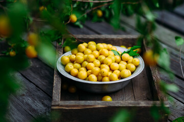 Ripe yellow cherry plum in a plate