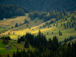 autumn landscape in the mountains