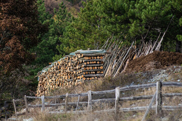 Firewood logs prepared for cold winter days