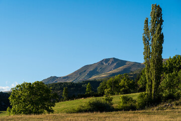 Montaña y prado verde con cielo azul