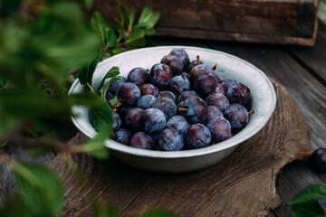 Ripe blue plum in a wooden box