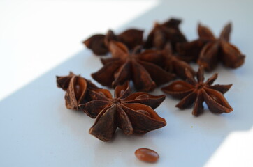 Anise stars isolated on white background