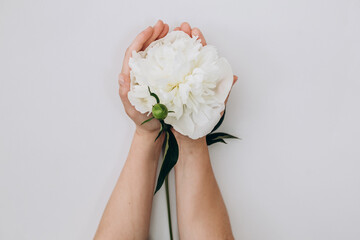Fashion art hands of a woman in summer and flowers on her hands. Creative beautiful photo of a girl's hand on a light background. Skin care. Beautiful white peony. High quality photo