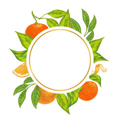 Oranges and tangerines vector fruit background frames template. Citrus collection