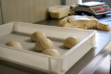 preparation of pizza in pala