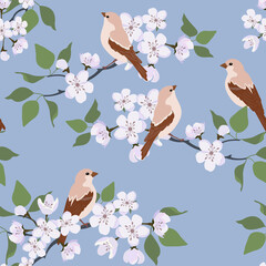 Seamless vector illustration with blossoming sakura and birds