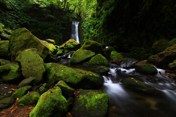 waterfall (Sao Miguel, Azores)