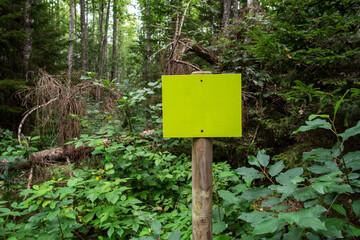 Empty green table on a pole in the woods. Copy space.
