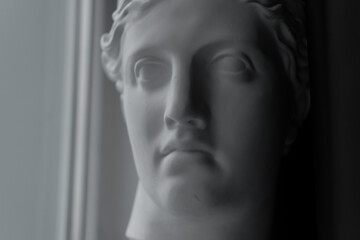 Ancient greek sculpture white plaster copy marble head of diana in light of window