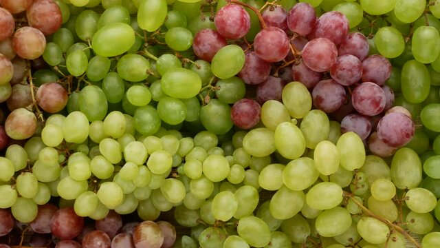 Green and pink grapes. Bunches of grapes.