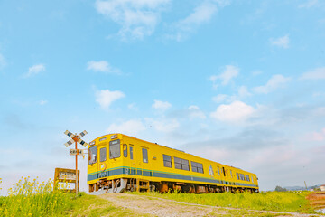 春の青空の下 走る１両の黄色い列車と踏切