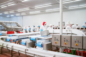 line packing meat products, meat factory.Food Convenience food.