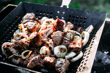 Kebab.Pieces of meat with onions in a grill pan on the grill.