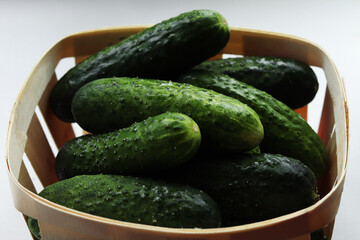 Fresh cucumbers in basket isolated on white background. Cucumbers close-up.