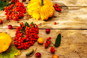 Fresh pumpkins, cherry plums, acorns and ripe rowan berries