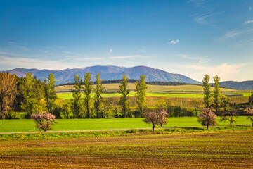 Fototapeta na wymiar Rural landscape with mountains in the background. Turiec Region, Slovakia, Europe.