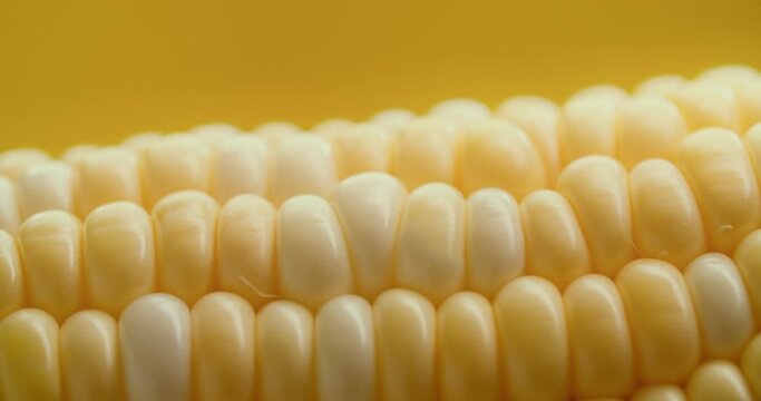 Macro View Yellow Grains Corn Cob Background Food Organic Close Up. Closeup Fresh Sweet Corn on Cob, Ingredient Prepare for Organic Food. Corn Seeds Texture, Agriculture Healthy Natural Nutrition.