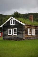 Fototapeta na wymiar grass roof house