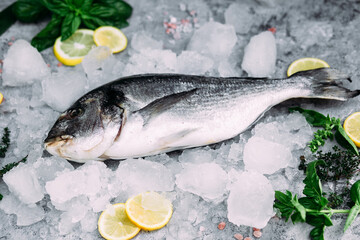 Fresh dorado fish lies on ice