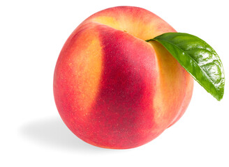 single peach fruit isolated on white background. full depth of field