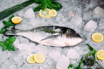 Fresh dorado fish lies on ice