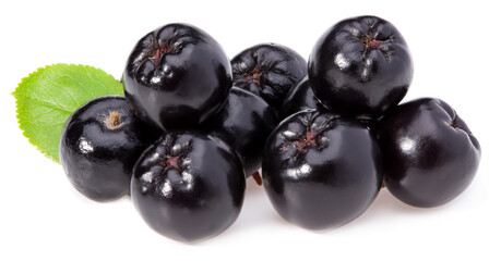 Chokeberry with green leaves isolated on white background. Black aronia. full depth of field