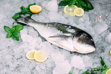 Fresh dorado fish lies on ice